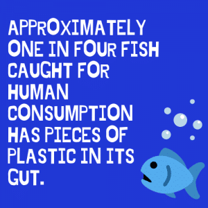 Single use Plastic In the Sea